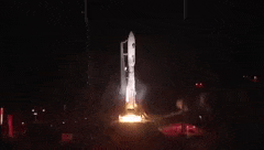 GIF