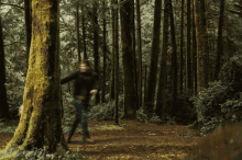 GIF tso los ntawm Chris