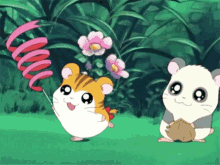 GIF