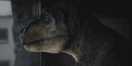 Raptor Sad: Dinosaur Gazing Out Window