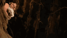 GIF