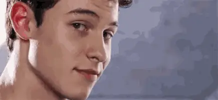 Shawn Mendes' Charming Smile