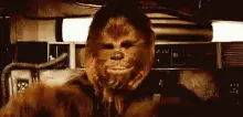 Chewbacca Close-Up