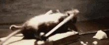 NikNaks അപ്‌ലോഡ് ചെയ്ത GIF