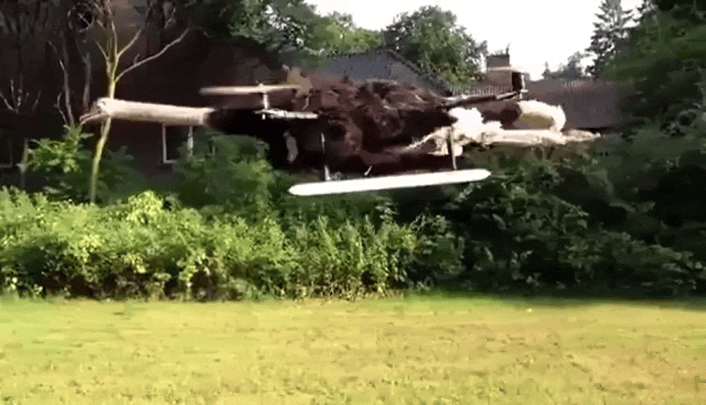 Stuffed Ostrich Drone