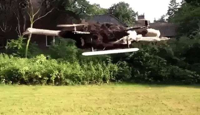 Stuffed Ostrich Drone