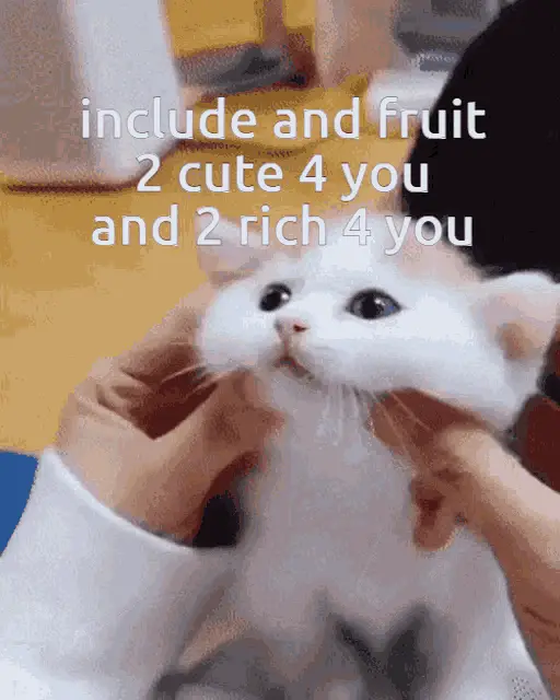 Cute Cat with '2 Cute 4 You' Caption