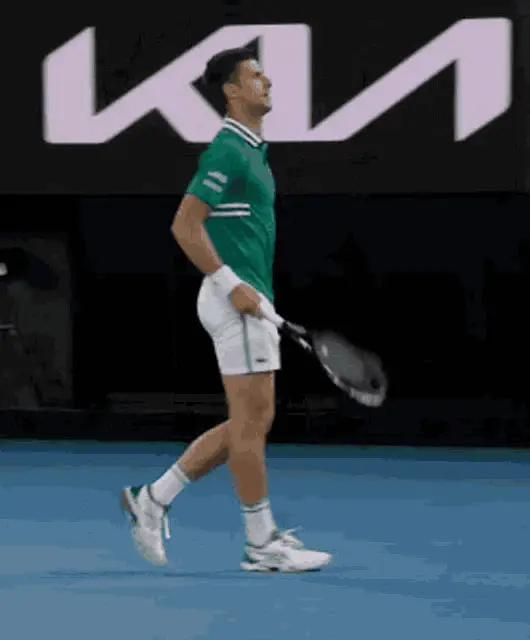 Novak Djokovic Hits Ball on Court