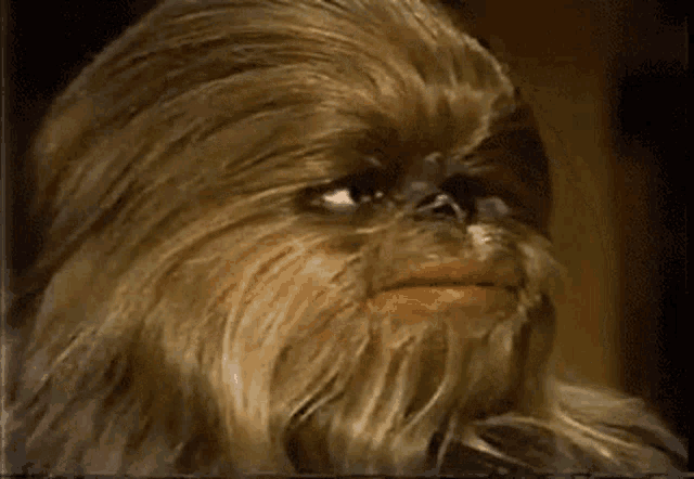 Chewbacca's Expressive Face in Star Wars