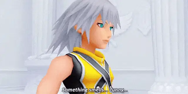 Kingdom Hearts 1 Darkness Smelly