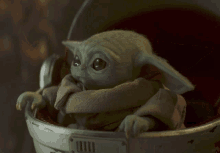 GIF uploaded by Dominic Elleray