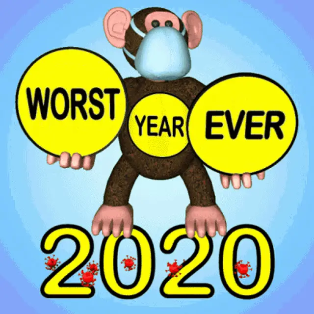 Monkey in Mask: Worst Year Ever 2020