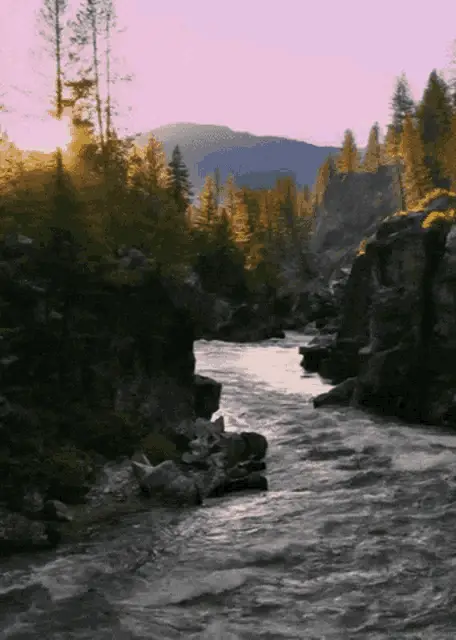 Beautiful River Flowing