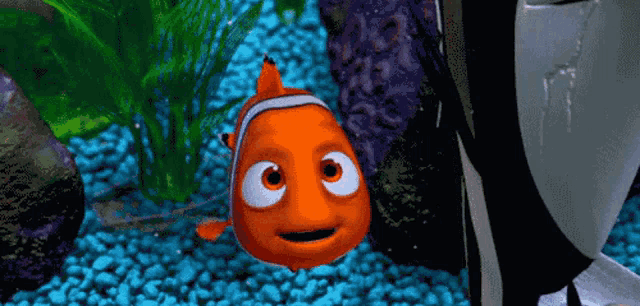 Nemo