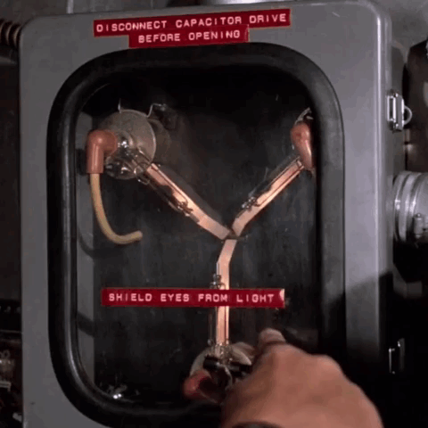 Back To The Future: Flux Capacitor