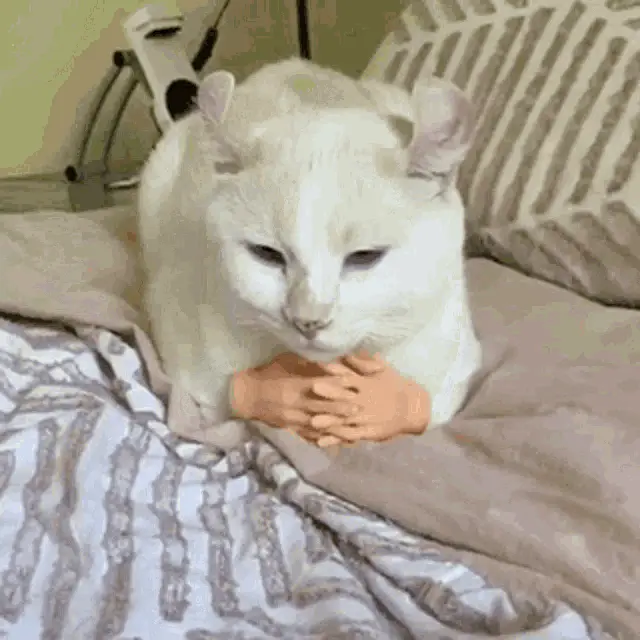 attachment