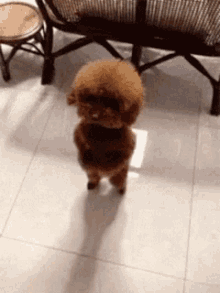 GIF הועלה על ידי Ly