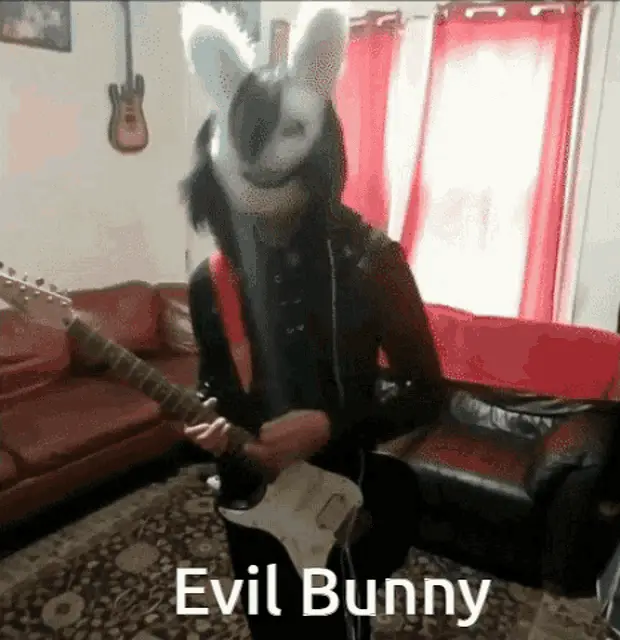 Evilbunny Roque Plays Guitar