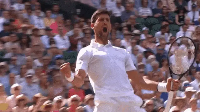 Novak Djokovic's Wimbledon Victory Celebration