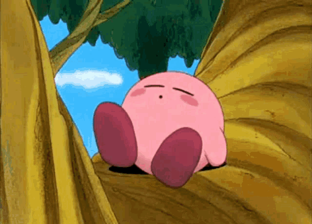 Kirby Takes a Nap