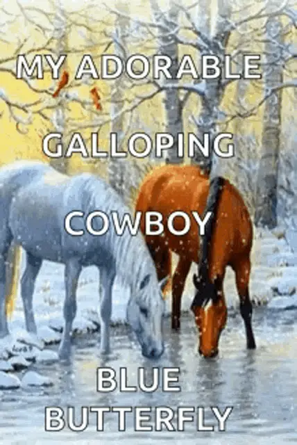 My Adorable Galloping Cowboy Horses