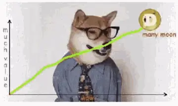Dogecoin Much Value Many Moon Graph Meme