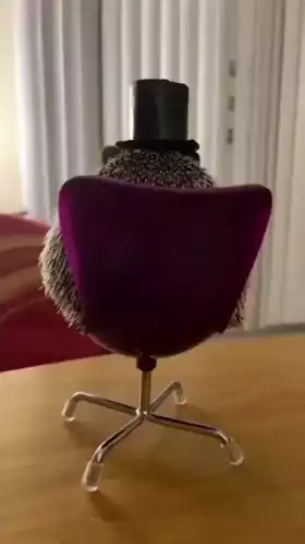 Alanfel: Dapper Hedgehog in a Top Hat