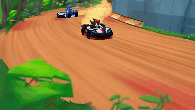 Sonic and Shadow The Hedgehog Racing