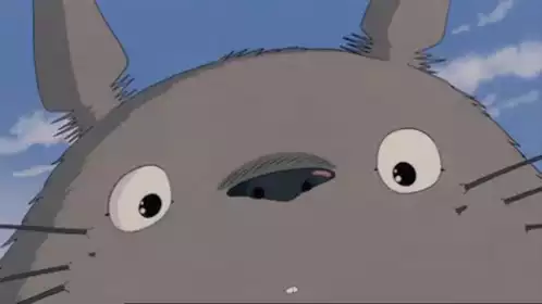 Harel Totoro Smiling