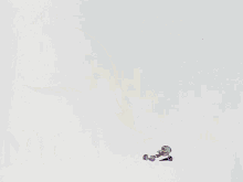 GIF аз тарафи Phoebe бор шуд