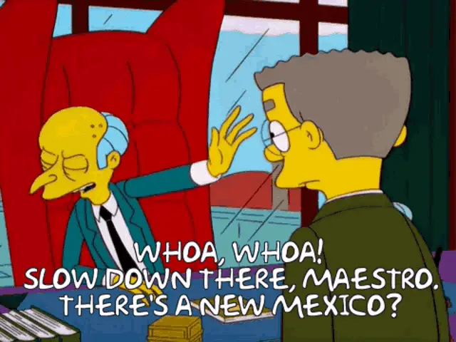 Mr. Burns: There's a New Mexico?