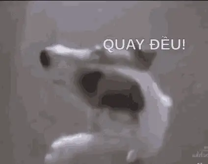 Chó Choáng Váng Quay Đều!