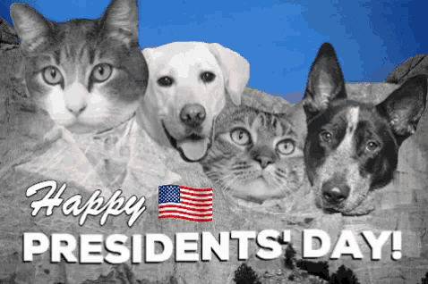Happy Presidents Day with Cats and Dogs