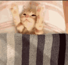 GIF uploaded by Gerald