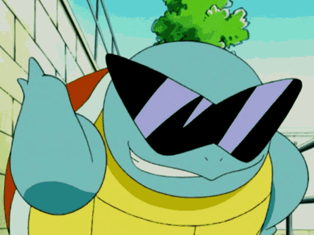 Pokemon Squirtle Come At Me Bro
