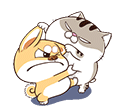 Moè Moèdanhnhau Funny Cat & Dog Struggle