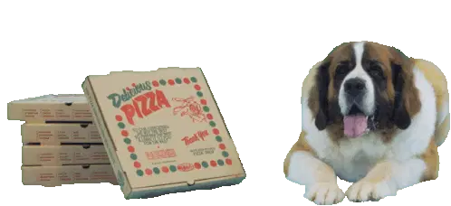 St Bernard Dog and Pizza Boxes