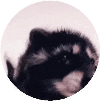 Pedro Jaest3r Animal Sticker