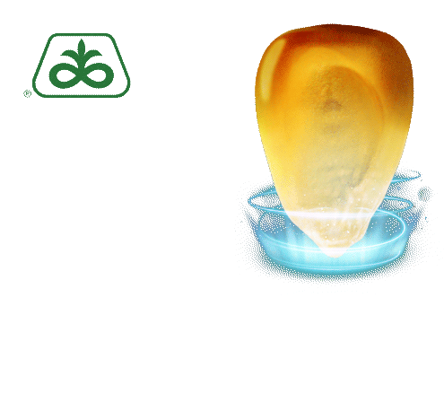 Pioneer Sementes: Você Colhe o Que Planta