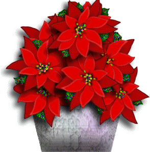 Glittering Poinsettia for Christmas Time