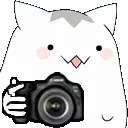 Cute Cat with Camera Sticker