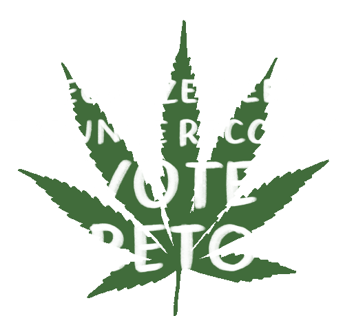 Vote Beto Texas 420 Marijuana Leaf