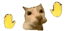 Wioppi Cat Dancing with Hands Meme