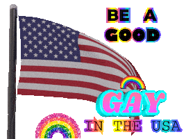 Be A Good Gay In The USA - LGBTQ American Flag