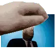 Donald Trump Animated Sticker
