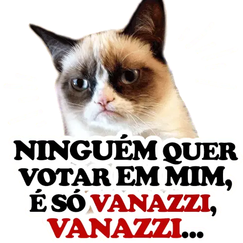 Vanazzi Daniaffonso Grumpy Cat Vote Meme