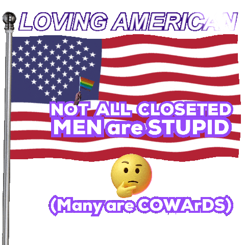USA Gay Pride Flag: Not All Closeted Men Are Stupid