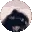 Pedro-Pedro Pixel Meme Face Rotation