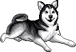 Lieve Husky Hond Pixel Art Sticker