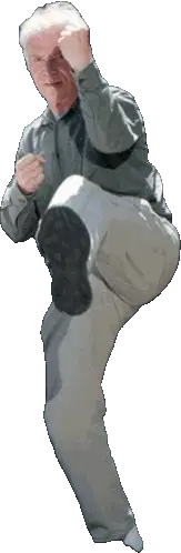 Mister Newell Kicking Leg Sticker